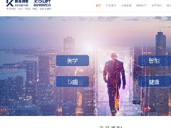西藏英倫快客電梯有限公司網(wǎng)站建設(shè)